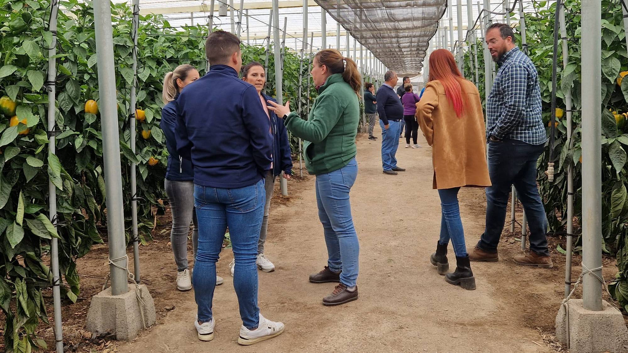 fito invernaderos|IMG-20221111-WA0012|IMG-20221111-WA0009|IMG-20221201-WA0027|Pimiento Gasol|Pimiento VolTio|el equipo de Fitó en la Jornada